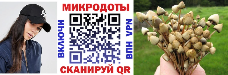 наркота Вытегра KRAKEN tor Псилоцибиновые грибы Psilocybine cubensis