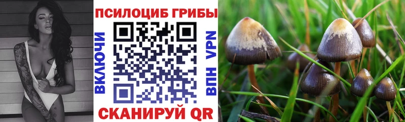 Галлюциногенные грибы ЛСД Вытегра